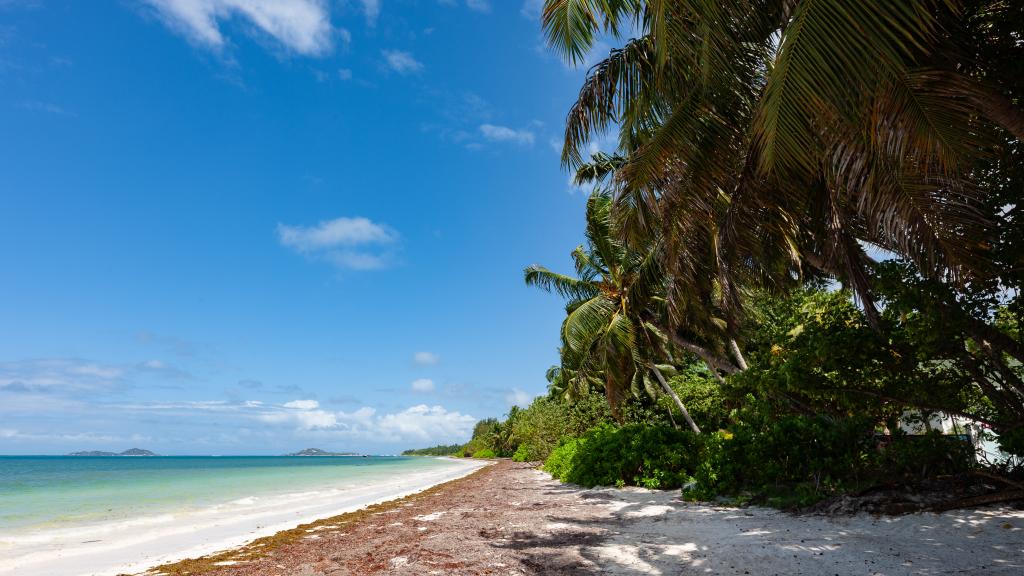 Foto 2: Praslin Orchid Villa - Praslin (Seychellen)