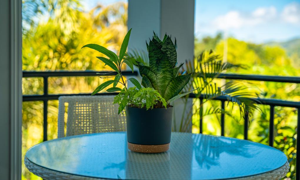 Royale Green Villa - Garden Villa with Ocean View