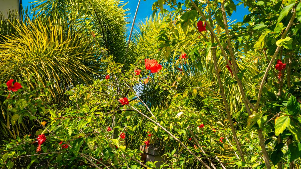 Foto 74: Royale Green Villa - Mahé (Seychellen)