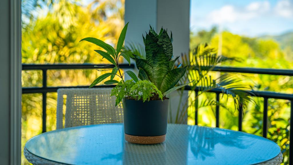 Photo 11: Royale Green Villa - Mahé (Seychelles)