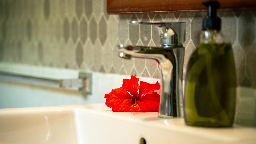 Photo 50: Royale Green Villa - Mahé (Seychelles)