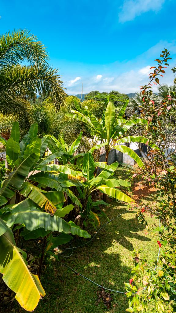 Foto 77: Royale Green Villa - Mahé (Seychellen)