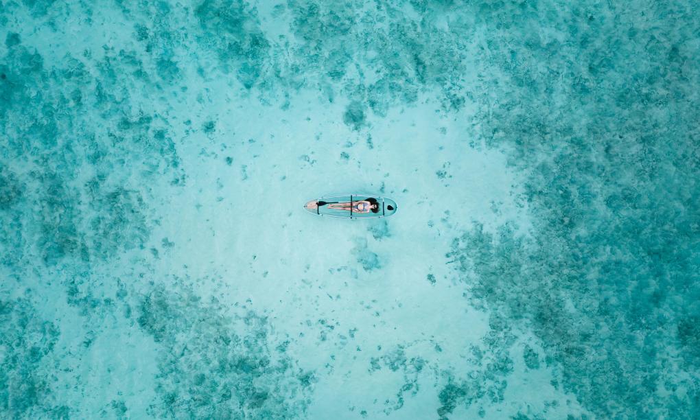 Labriz Silhouette Seychelles