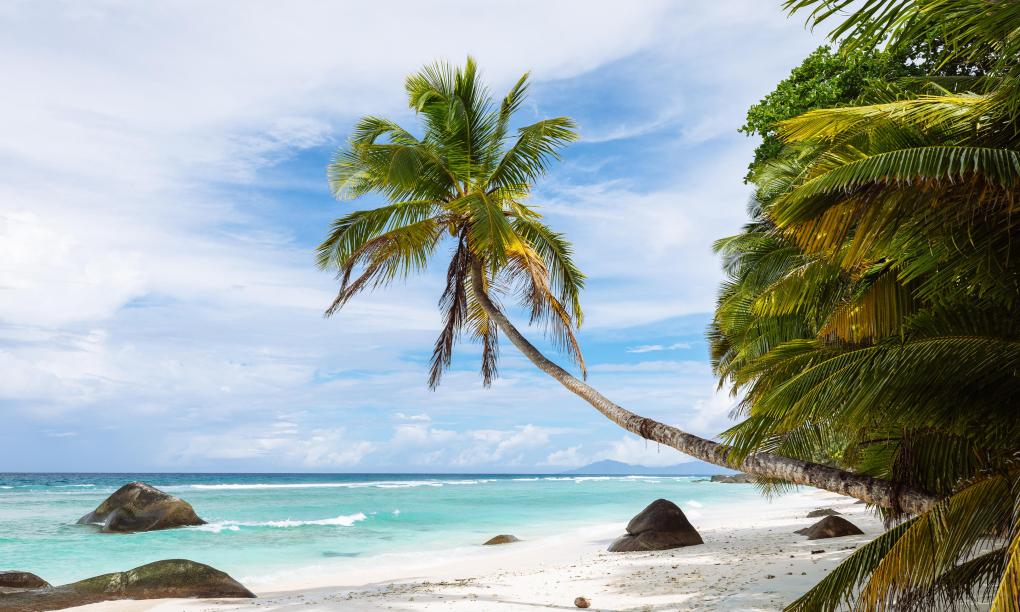 Labriz Silhouette Seychelles