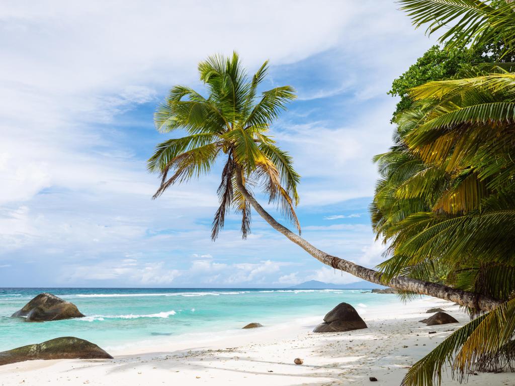 Labriz Silhouette Seychelles - Photo 3