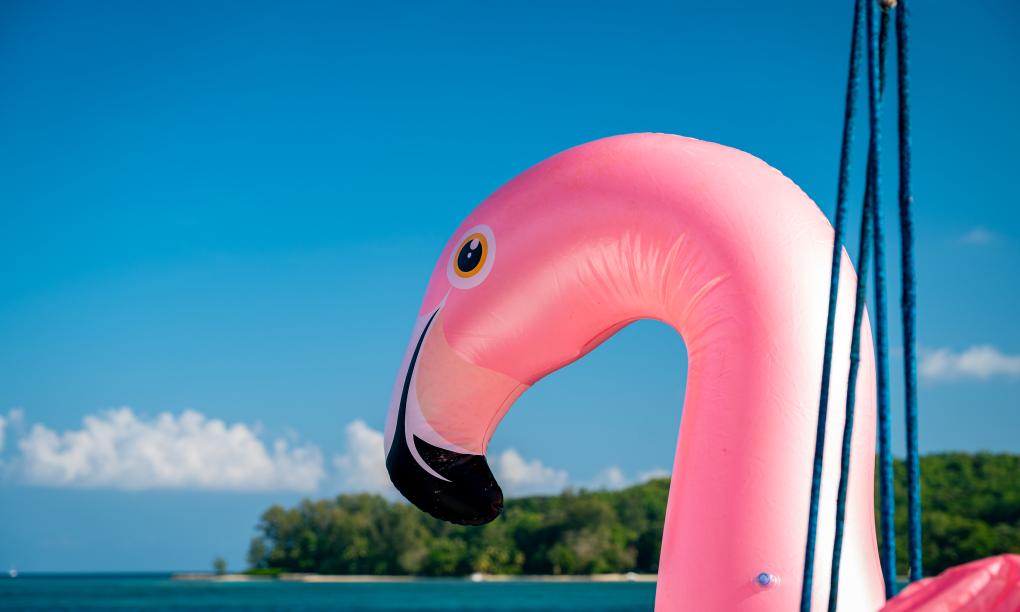 Seyscapes Yacht Charter Sparrow