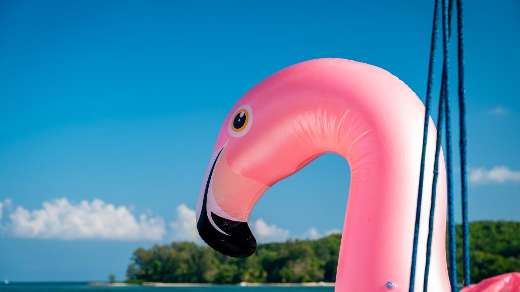 Foto 48: Seyscapes Yacht Charter Sparrow - Seychellen (Seychellen)