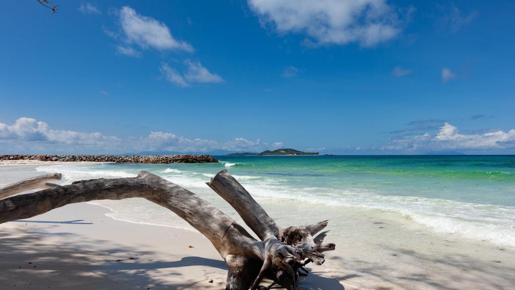 Foto 28: Trwa Koko Self Catering - Praslin (Seychellen)