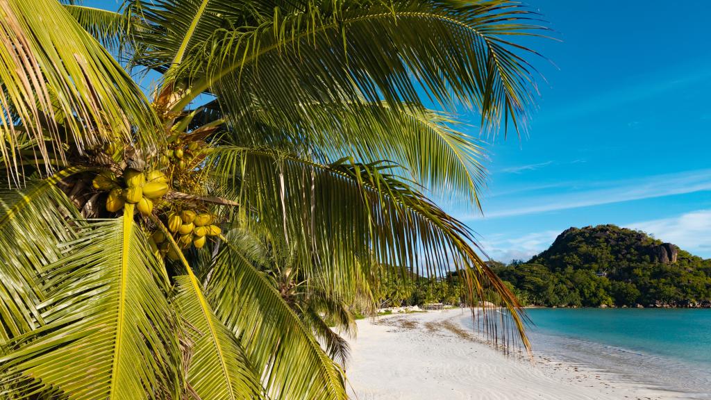 Foto 40: Joan Eco Relais - Praslin (Seychelles)