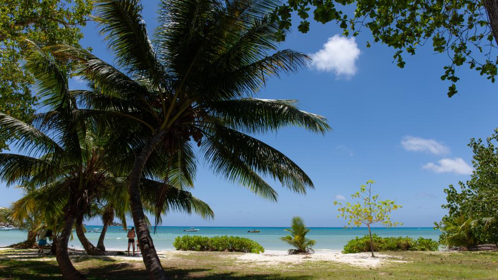 Foto 41: Joan Eco Relais - Praslin (Seychelles)