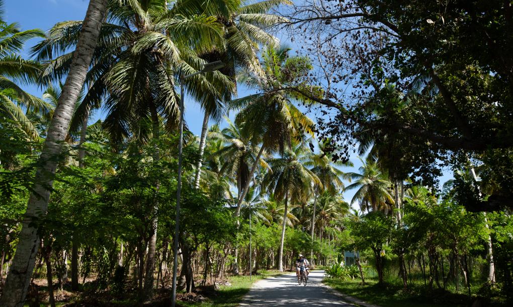 La Digue Coral Self Catering Apartments