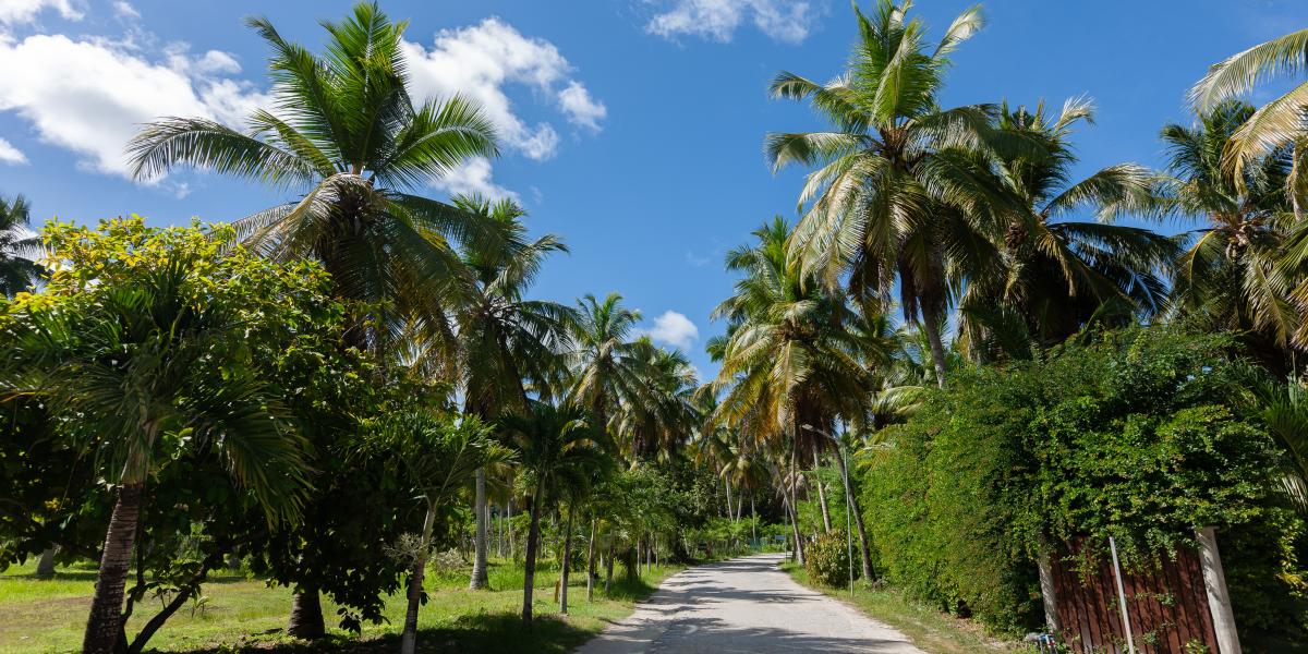 La Digue Coral Self Catering Apartments