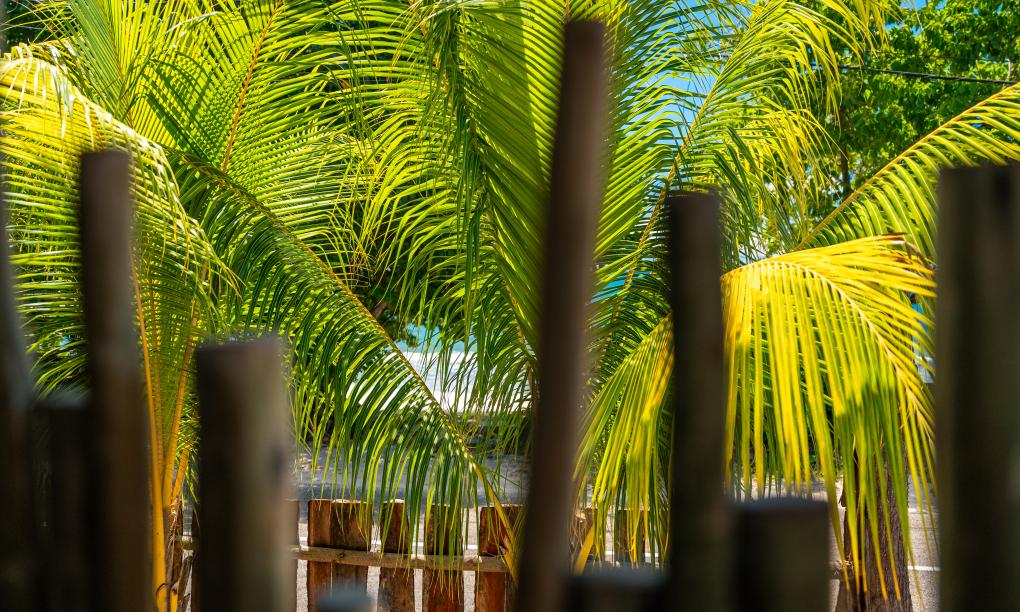 Kaz Dibwa Beach House