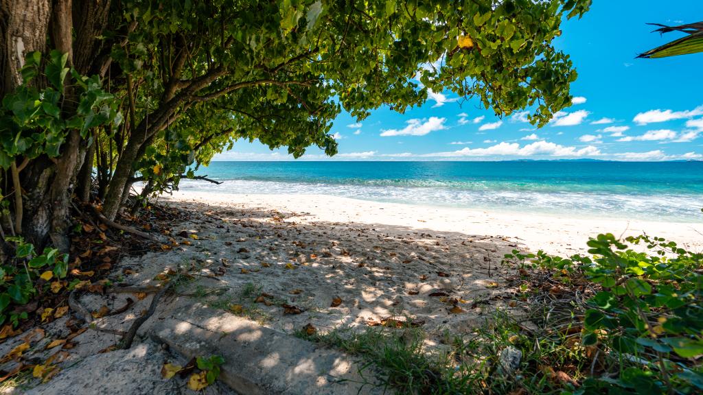 Photo 56: Kaz Dibwa Beach House - Mahé (Seychelles)