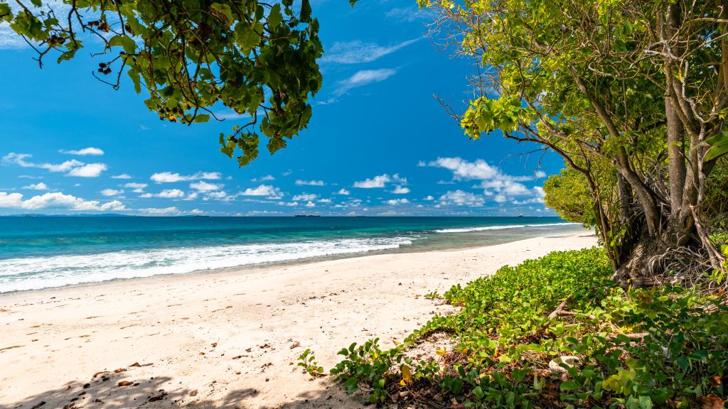 Photo 2: Kaz Dibwa Beach House - Mahé (Seychelles)