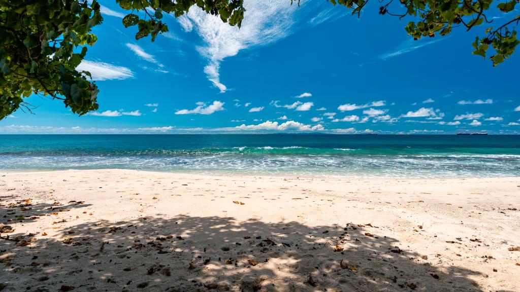 Photo 53: Kaz Dibwa Beach House - Mahé (Seychelles)
