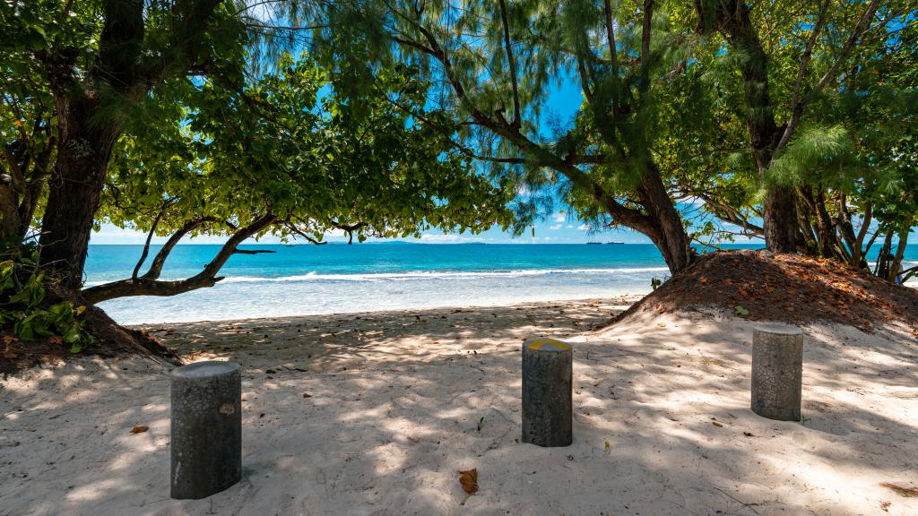 Photo 57: Kaz Dibwa Beach House - Mahé (Seychelles)