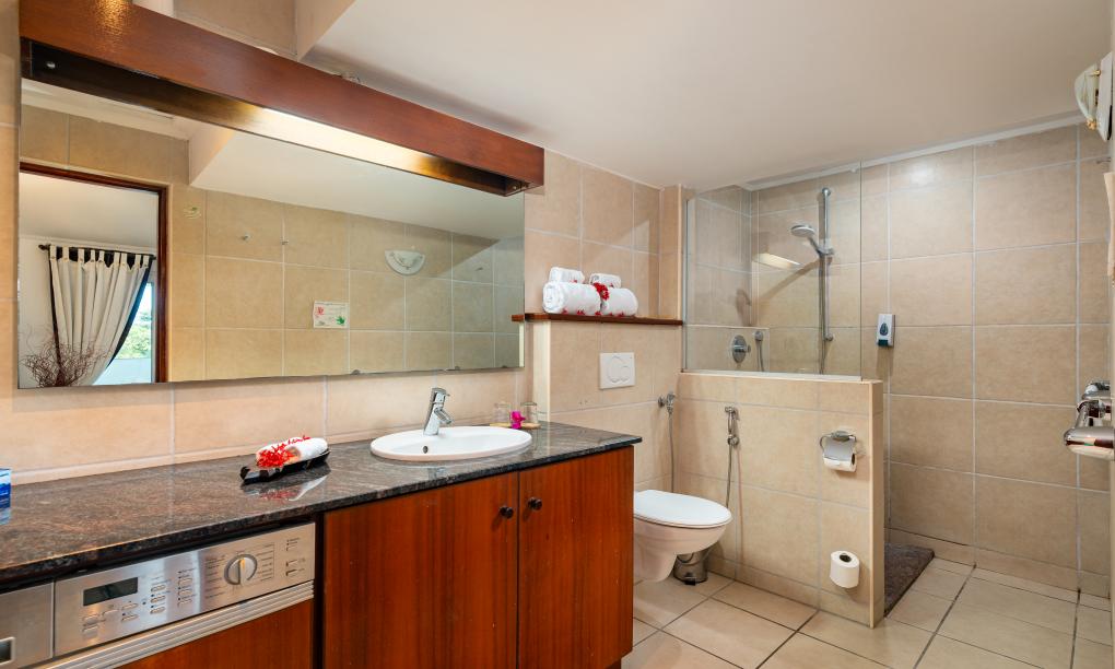 Hanneman Holiday Residence - Penthaus-Appartment mit 1 Schlafzimmer