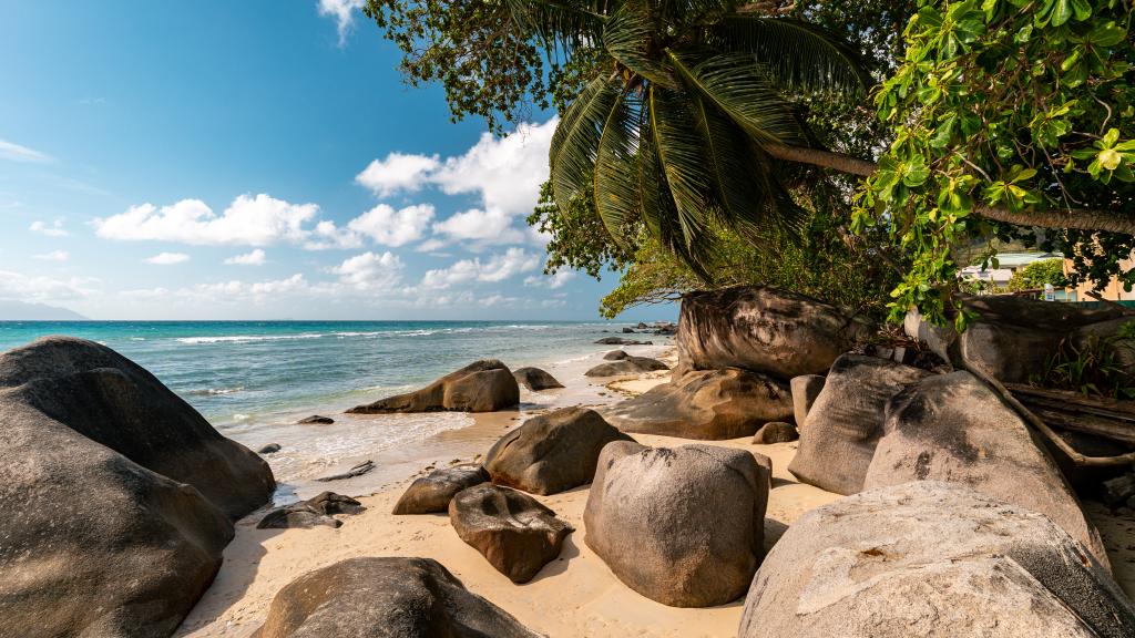 Foto 7: Hanneman Holiday Residence - Mahé (Seychelles)