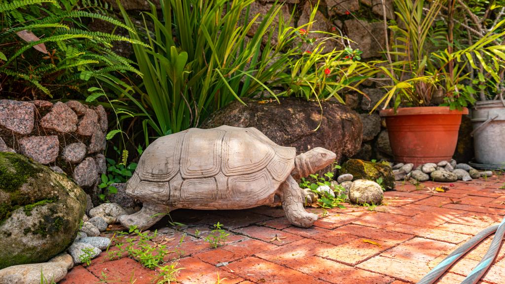Foto 26: Hanneman Holiday Residence - Mahé (Seychellen)