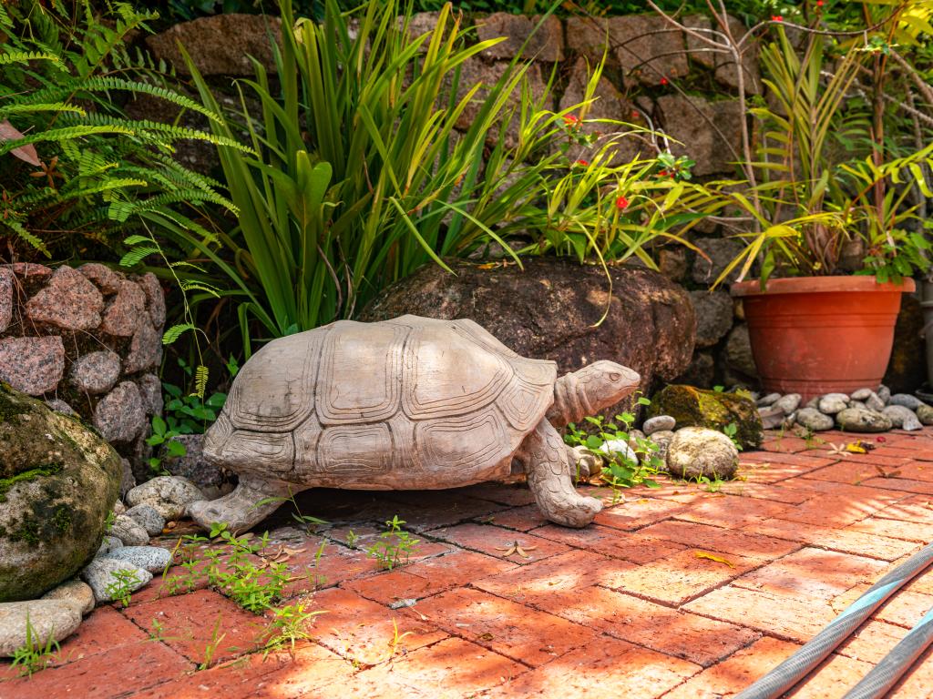 Hanneman Holiday Residence - Foto 3