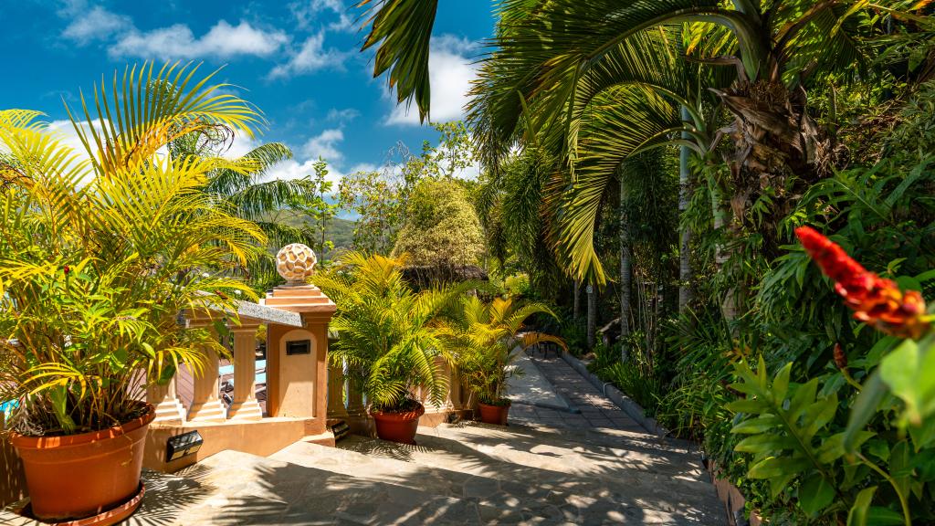 Photo 37: Ocean Terrace - Mahé (Seychelles)