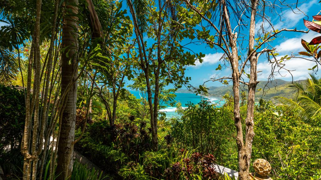 Photo 89: Ocean Terrace - Mahé (Seychelles)