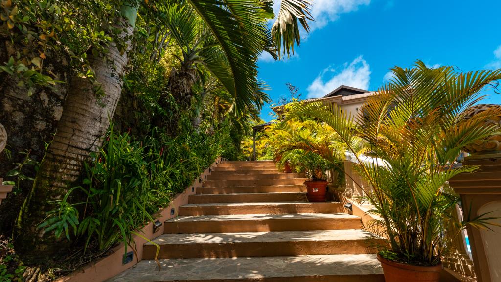 Photo 82: Ocean Terrace - Mahé (Seychelles)