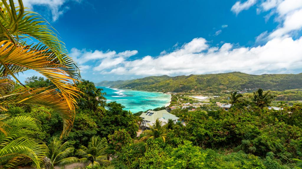 Photo 8: Ocean Terrace - Mahé (Seychelles)