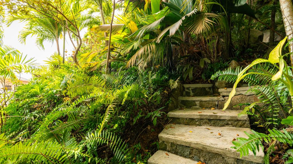 Photo 88: Ocean Terrace - Mahé (Seychelles)