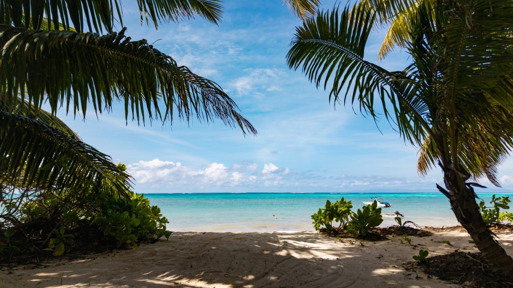 Foto 3: Lou Lou Bungalows - Praslin (Seychelles)