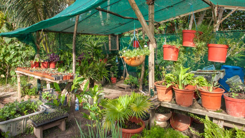 Photo 7: Etoile Labrine - La Digue (Seychelles)