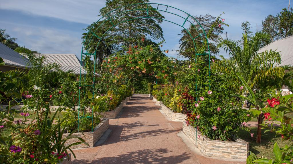 Photo 32: Etoile Labrine - La Digue (Seychelles)