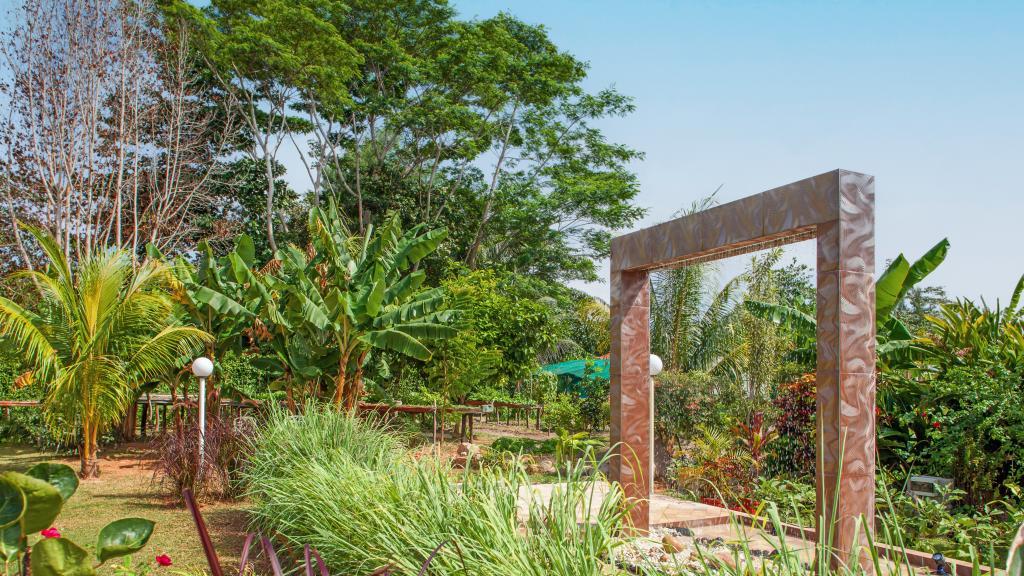 Photo 15: Etoile Labrine - La Digue (Seychelles)