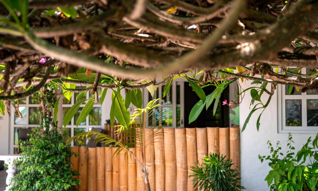 Beau Bamboo - Appartement Bamboo (unten)