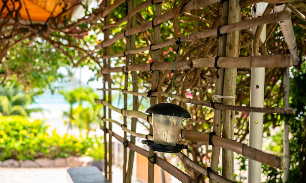 Beau Bamboo - Appartement Bamboo (unten)