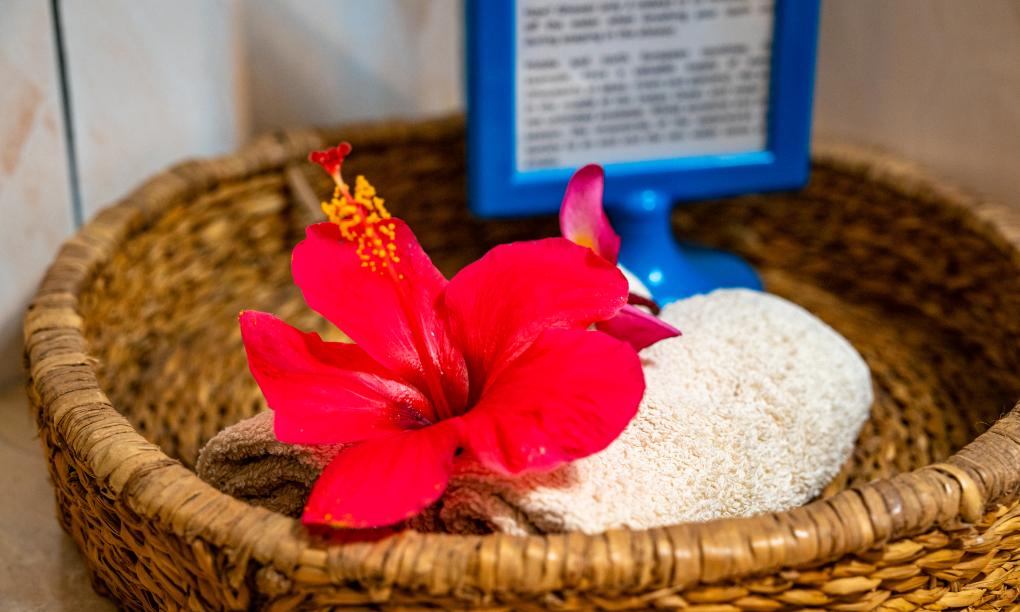 Beau Bamboo - Appartement Bamboo (unten)