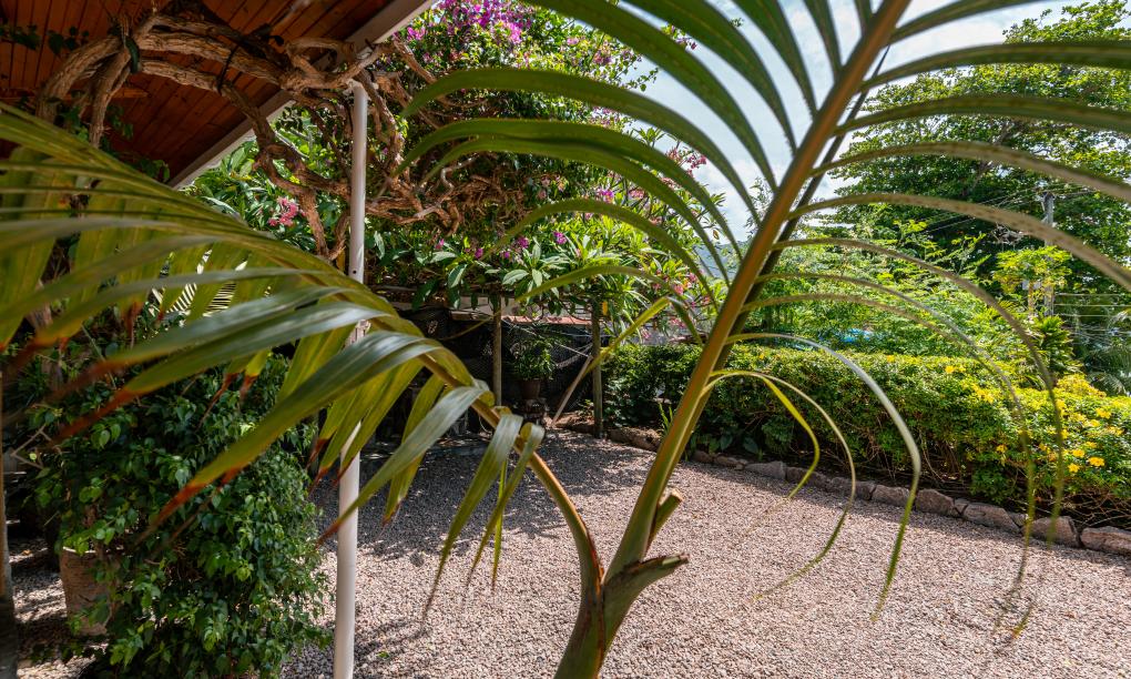 Beau Bamboo - Appartement Bamboo (unten)