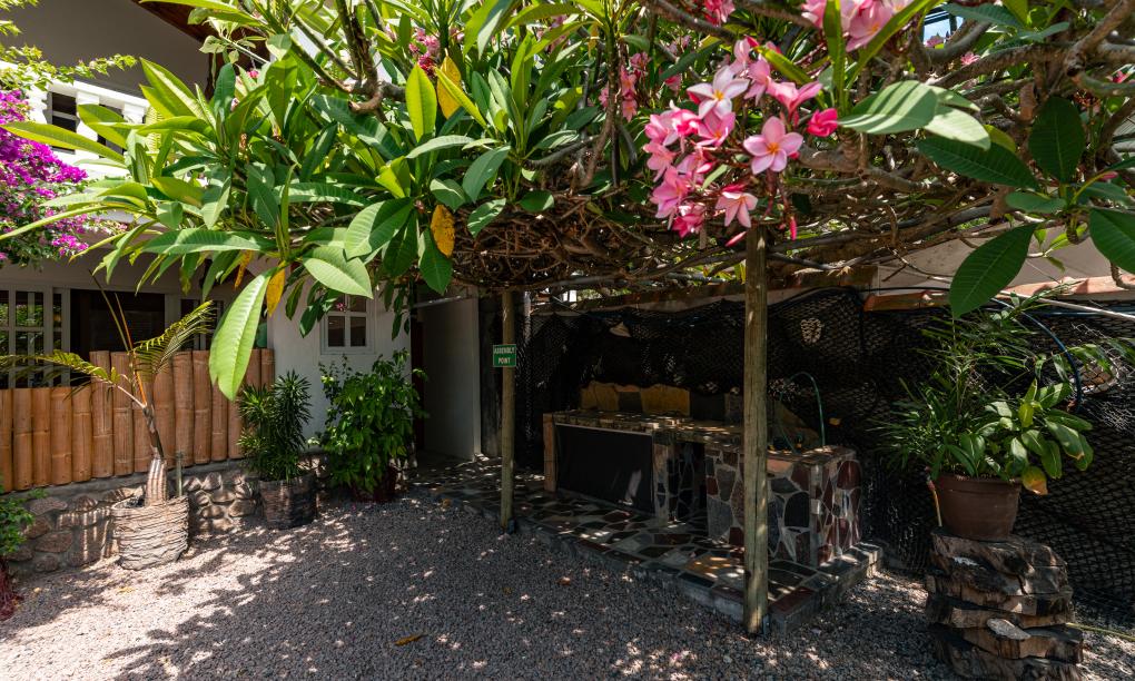 Beau Bamboo - Appartement Bamboo (unten)