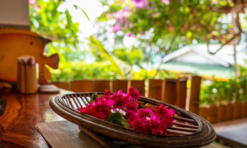 Beau Bamboo - Appartement Bamboo (unten)