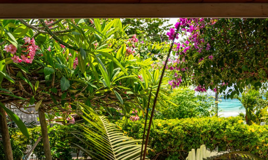 Beau Bamboo - Appartement Bamboo (unten)