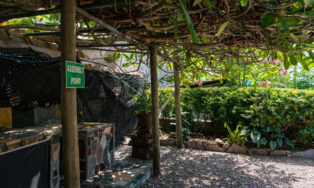 Beau Bamboo - Appartement Bamboo (unten)