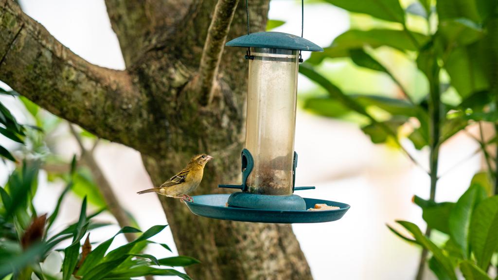 Foto 68: Beau Bamboo - Mahé (Seychellen)