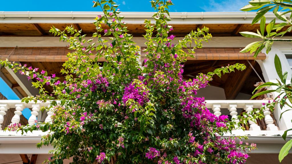 Foto 52: Beau Bamboo - Mahé (Seychelles)