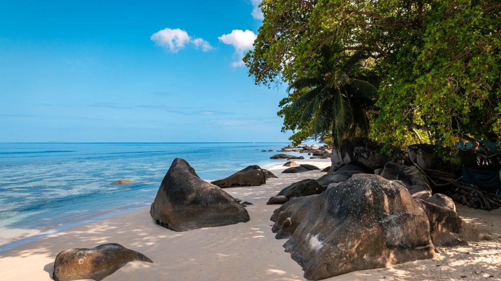 Photo 183: Beau Bamboo - Mahé (Seychelles)