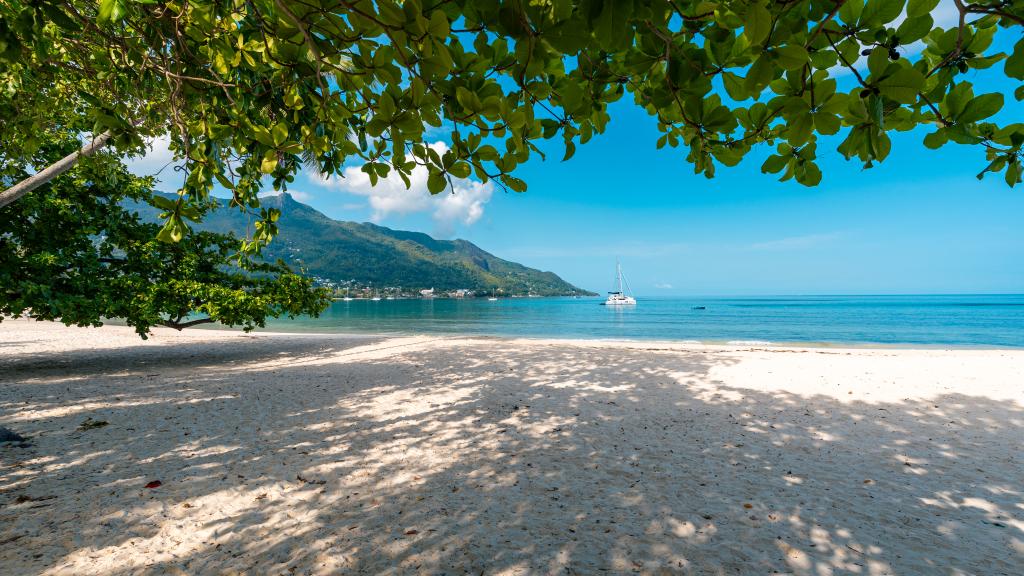 Foto 177: Beau Bamboo - Mahé (Seychellen)