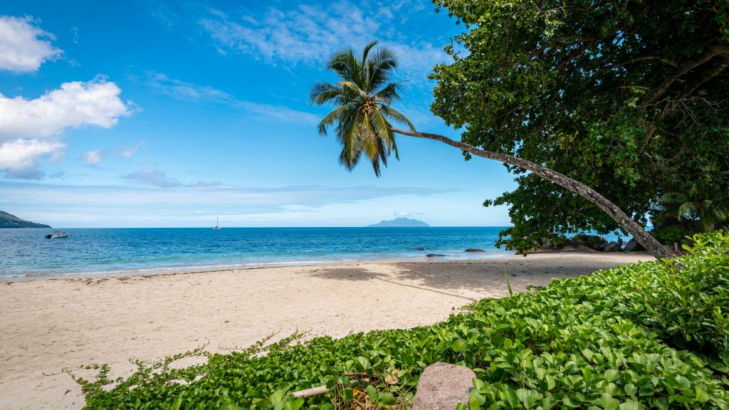 Foto 157: Beau Bamboo - Mahé (Seychellen)