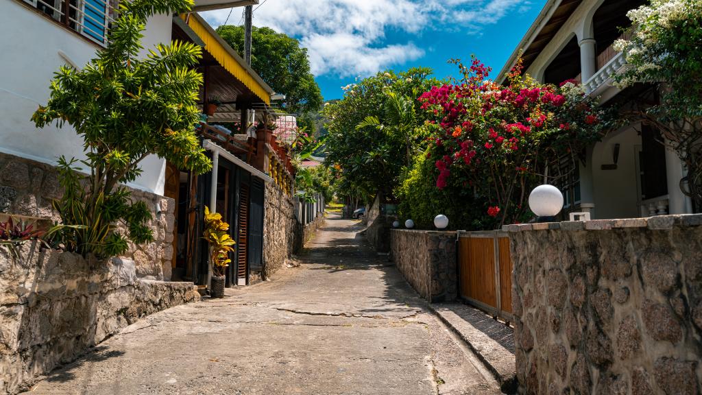 Photo 154: Beau Bamboo - Mahé (Seychelles)