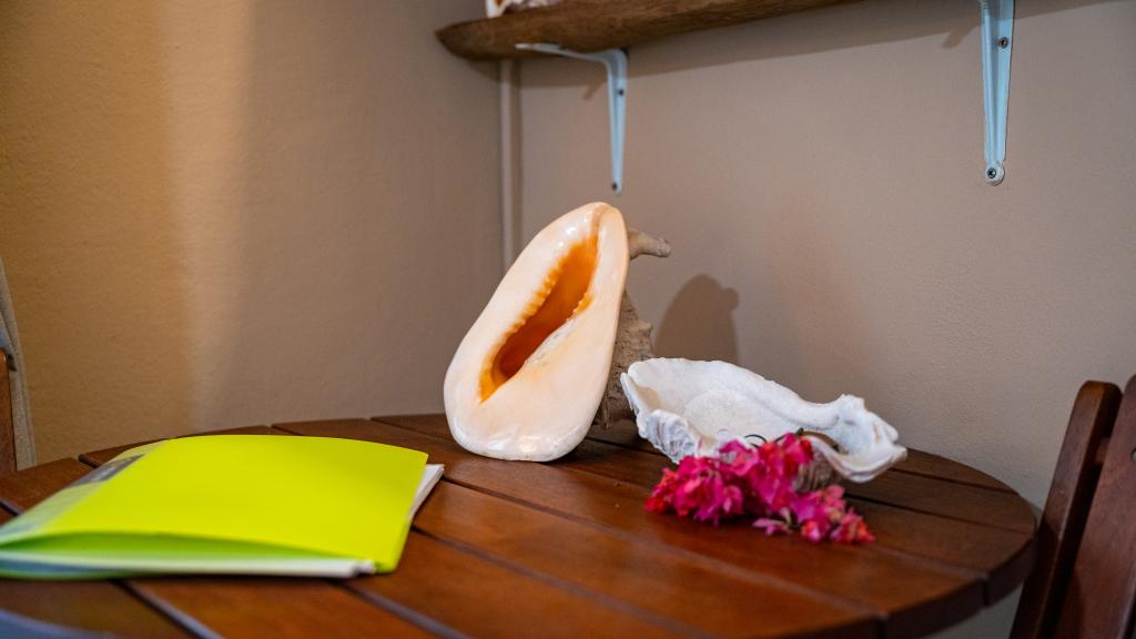 Photo 129: Beau Bamboo - Mahé (Seychelles)