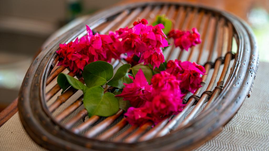Photo 143: Beau Bamboo - Mahé (Seychelles)